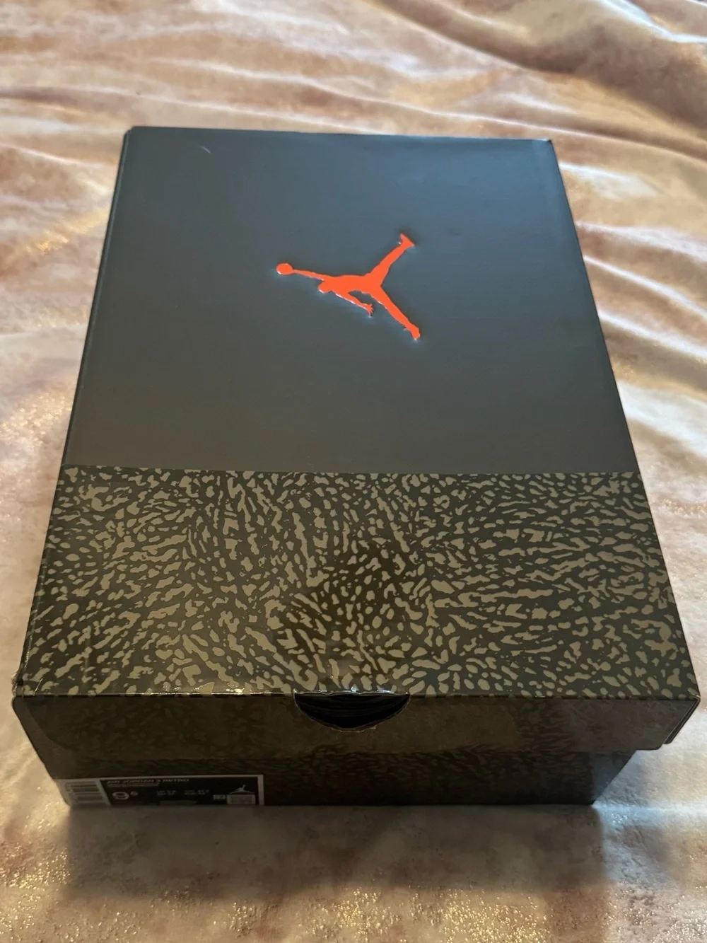 Air Jordan 3 Retro Shoe Box